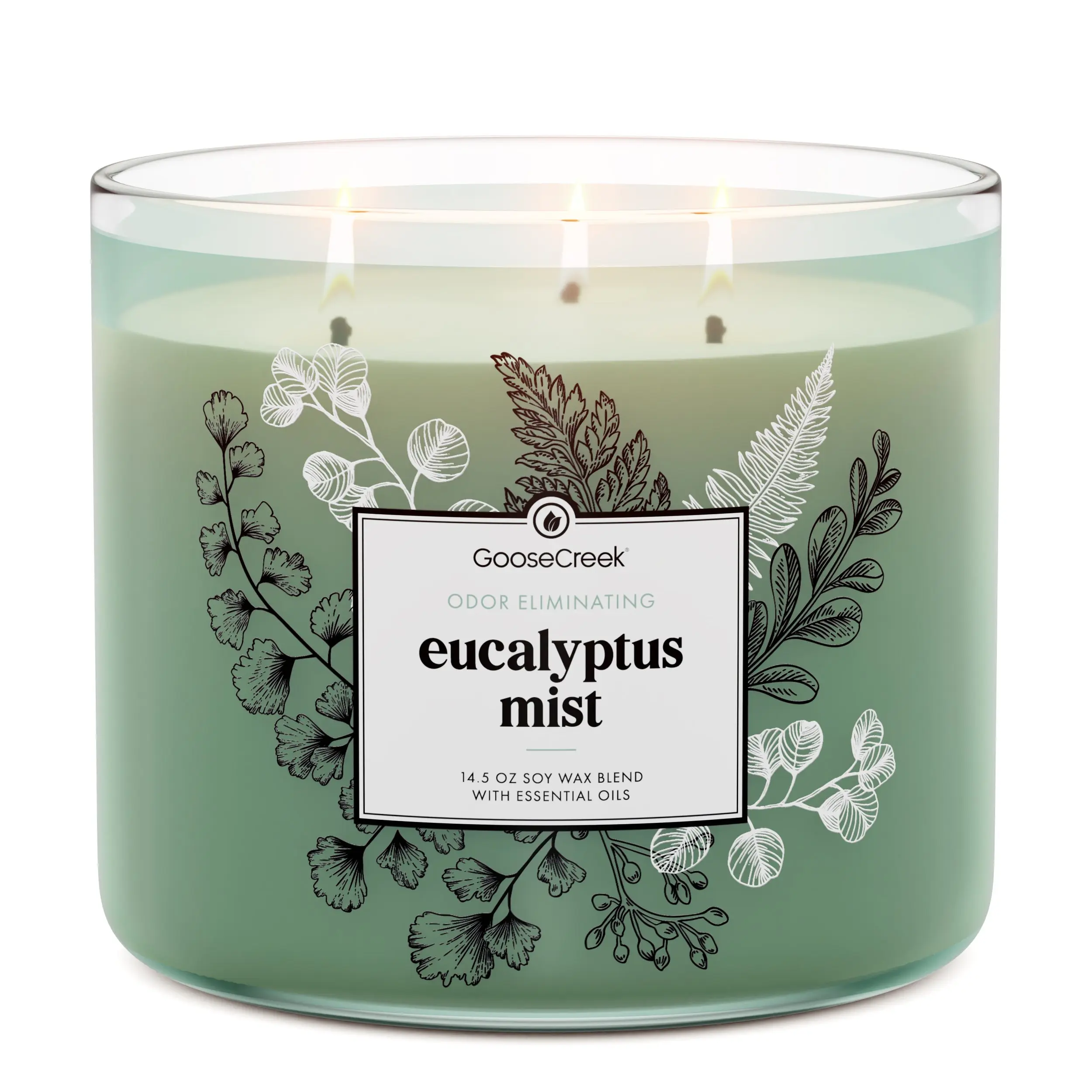 Eucalyptus Mist Odor Eliminating 3-Wick Candle Eucalyptus Mist Odor Eliminating 3-Wick Candle