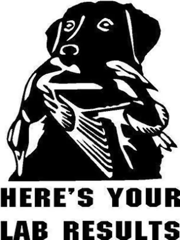 Lab Duck Hunt Dog Labrador pup Retriever Truck Sticker, 5 INCH Dye Cut Decal Sticker for Bumpers Windows Cars Laptops ETC