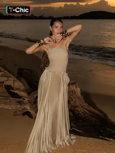 Sheer Bustier Dress with Pleated A-Line Design, Elegant Women's Evening Gown, Perfect for Formal Events & Special Occasions