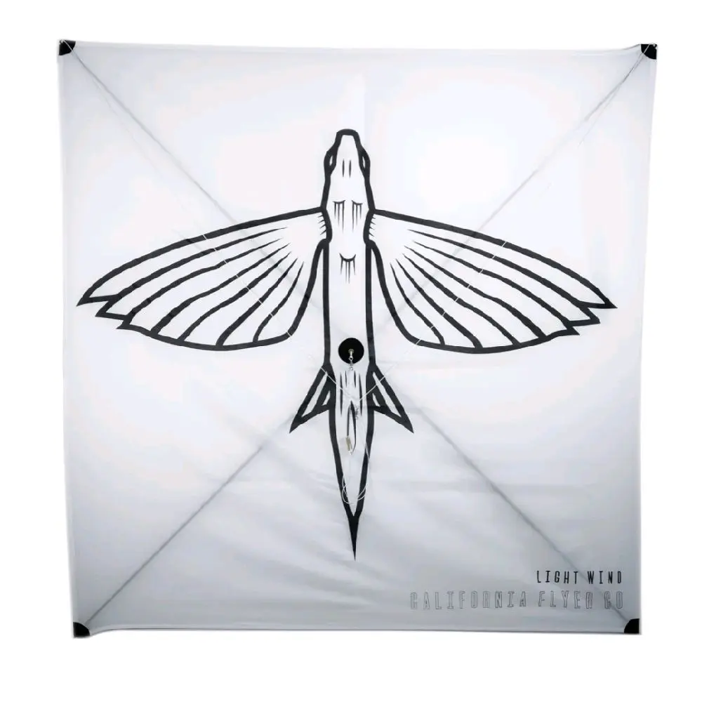 CA Flyer Light Wind Kite