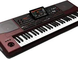 Korg Pa1000 61-Key Professional Arranger