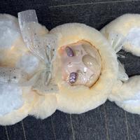 Yellow Laser Eye Confirmation payment