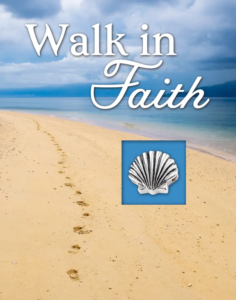 Used Hardcover Book - Walk in Faith by Publications International Ltd (English) - Believer-Focused, Encourages Prayer, 365 Inspiring Prayers, Aids Calendar Organization, 1.65 lbs