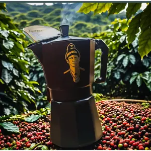 Greca Coffee Maker – Authentic Puerto Rican Coffee Experience