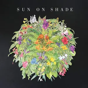 Sun on Shade[LP]