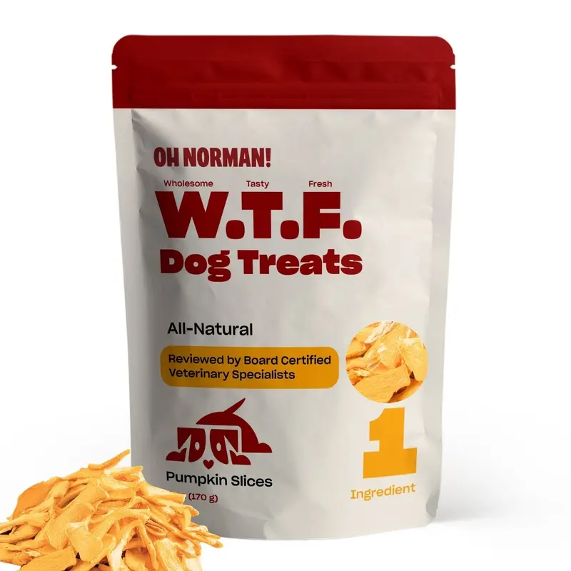 WTF Treats: Organic Pumpkin Slices - Single Ingredient Pumpkin Dog Treats by Kaley Cuoco, Healthy Dog Treats for All Life Stages and Breeds, Air Dried, Ethically Sourced in Canada, 6 Oz