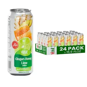 VINUT Ginger Honey & Lime Juice Drink 85% Real Juice No Added Sugar 16.9 fl oz 500 mL Can 6/12/24 Pack Natural Beverage