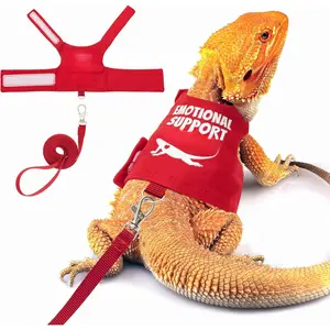 Adjustable Reptile Harness for Walking - Escape Proof Lizard Leash Set with 5 ft Lead - Comfortable Outdoor Pet Gear - Secure Fit for Small Reptiles - Durable Nylon Strap for Daily Use bin  cage ferret  harness