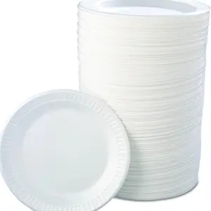 125 Pack 9-Inch Disposable Foam Plates – Heavy Duty Party Plates