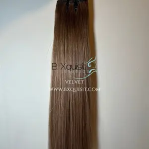 B. Xquisit Velvet Raw Bundle - Straight Hair with Natural Color, Ideal for Everyday Wear, Raw Human Hair