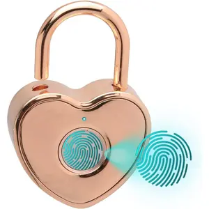 Heart Shaped Fingerprint Padlock, Small  Padlock for Gym Locker, Backpag, School, Mailbox, Travel Suitcase (Rose )