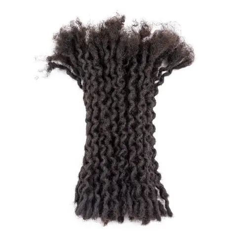 DAIXI Curly Wave Dreadlocks Extensions, Afro Human Hair Handmade Crochet Locs For Men and Women, 0.4cm Thickness