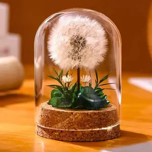 Handcrafted Preserved Dandelion Flower in Transparent Glass Dome, Real Dandelion Specimen, Gifts for Mom Birthday, Valentine's Day gift，Graduation gift, Teacher’s Day (Green, NoLED)