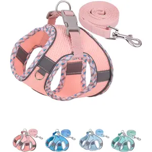 Dog Harness for Small Medium Dogs No Pull, Puppy Harness and Leash Set, Easy Walk Dog Harness for Walking, Running, Training, Small Dog Harness, Medium Dog Harness