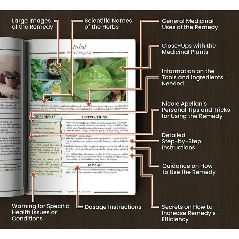 2026 Apothecary:250Powerful Reme-dies At Your Fingertips,800 Herbs You Need For Your Body Home DOctor Herbal Reme-dies Book for Everyday Wellness,portable
