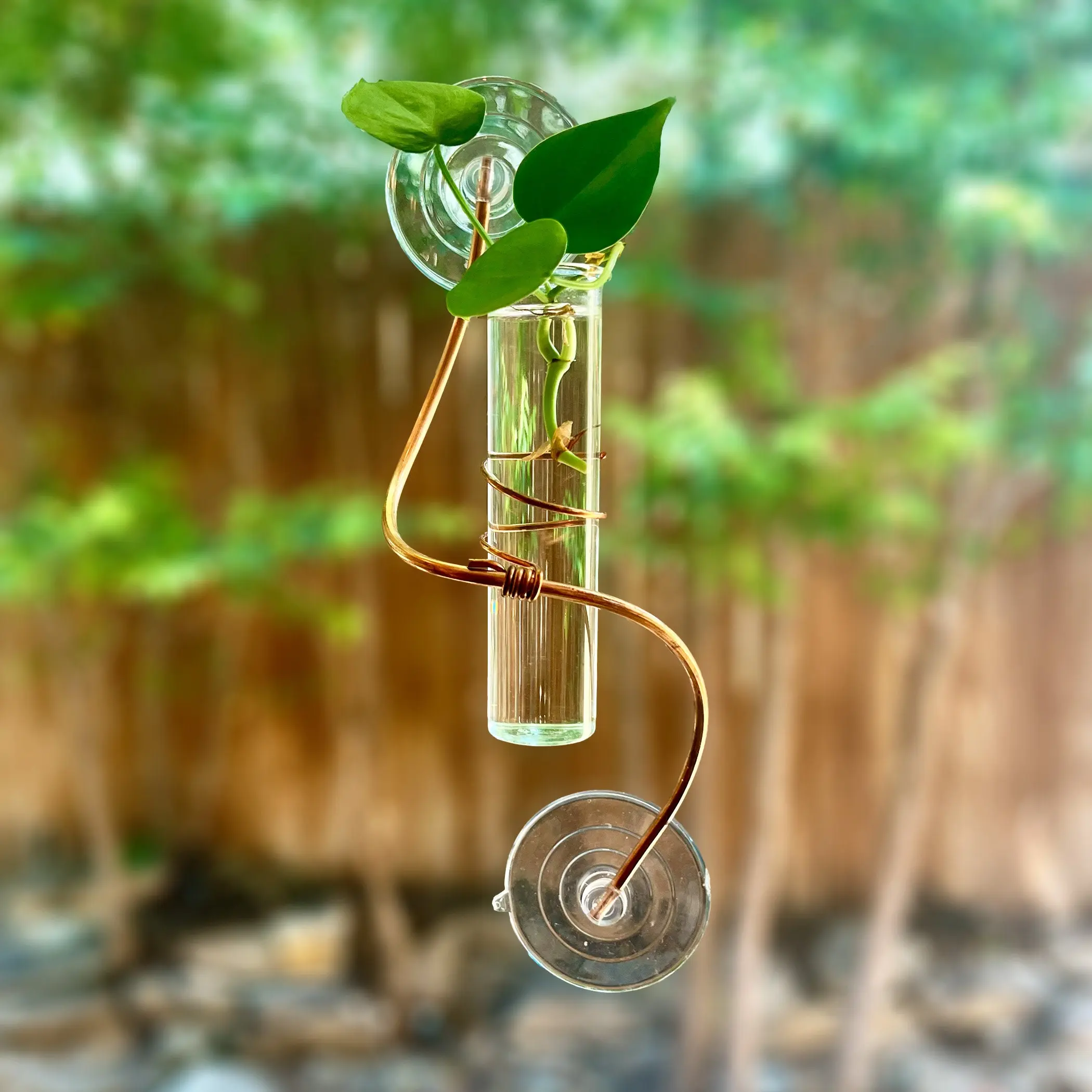 The Willow Window Propagator