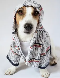Urban Cool Street-Style Dog Hoodie
