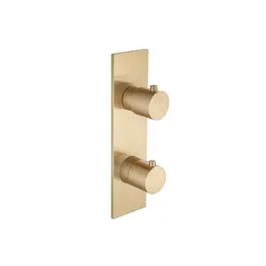 Flusso Serie 100 100.4000VT Trim For Thermostatic Valve