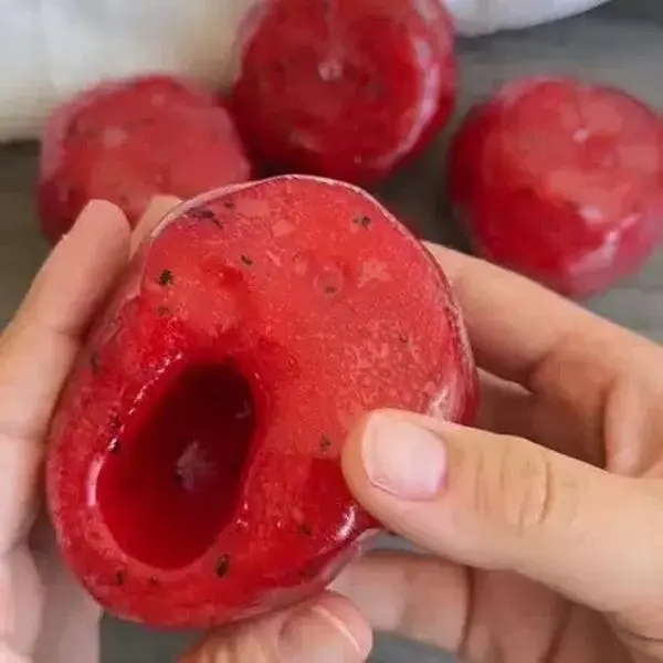 SLUSHY WATERMELON SQUISHY