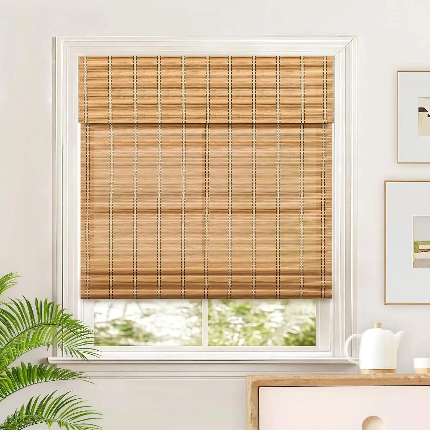 Light Filtering Cordless Roman Shades Window Blinds for Indoor Windows, Easy to Install, 37" W x 64" H