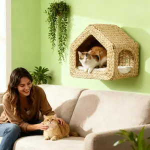 Space Saving Wall Mounted Cat House : Maximize Your Floor Space & Elevate Your Cat’s Comfort