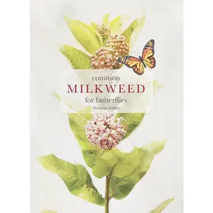 Common Milkweed for Butterflies Seed Packets
