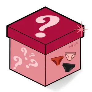 HSIA Mystery Lace Mesh Panties Set (3-Pack)