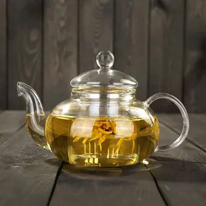 High quality Heat Resistant Glass Tea Pot with Infuser Borosilicate Fruit