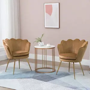 Antique Velvet Accent Chair Set Of 2, Mid-Century Modern Armchairs For Living Or Bedroom, Comfy Seashell Chairs With Golden Metal Legs, Perfect Vanity Chair For Dressing Room