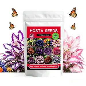 Hosta Seeds (12000+ Pcs, 12 Mixed Color Varieties) - Rare Cold-Hardy Perennial Ground Cover Plants, Heart-Shaped Varied Foliage, Low-Maintenance Easy-Grow for Outdoor Gardens & Pots