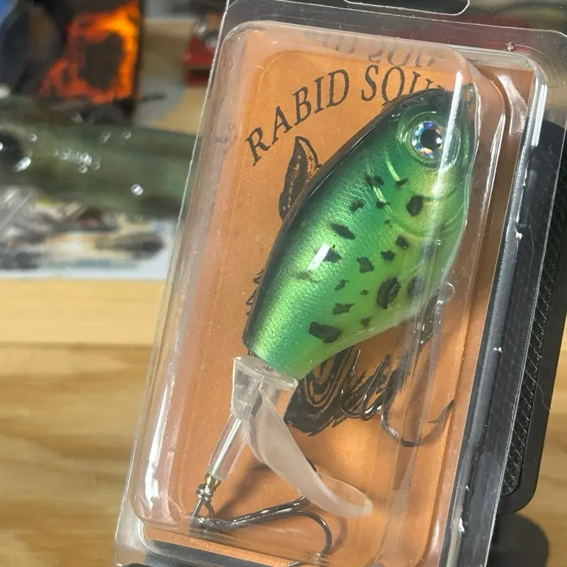 Rabbit Squirrel Hand-painted Custom Fishing Lure for Bass Pike Aggressive Strikes Durable Clear Coat Ships Fast from the USA