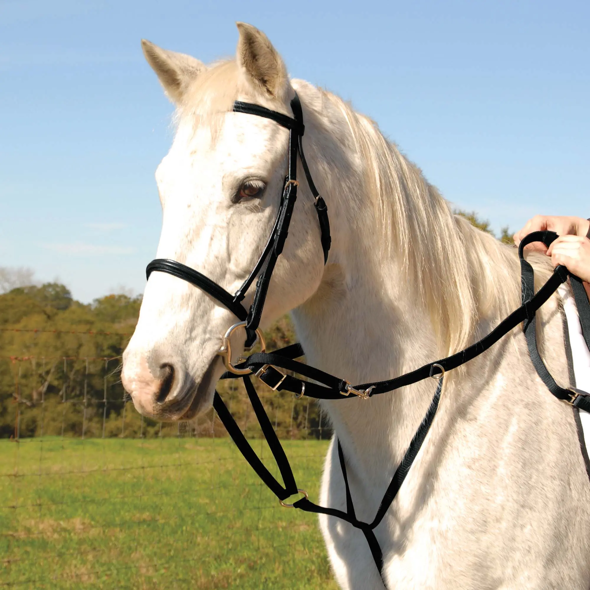 Jeffers German Olympic Running Martingale for Horses with Reins Jeffers German Olympic Running Martingale for Horses with Reins