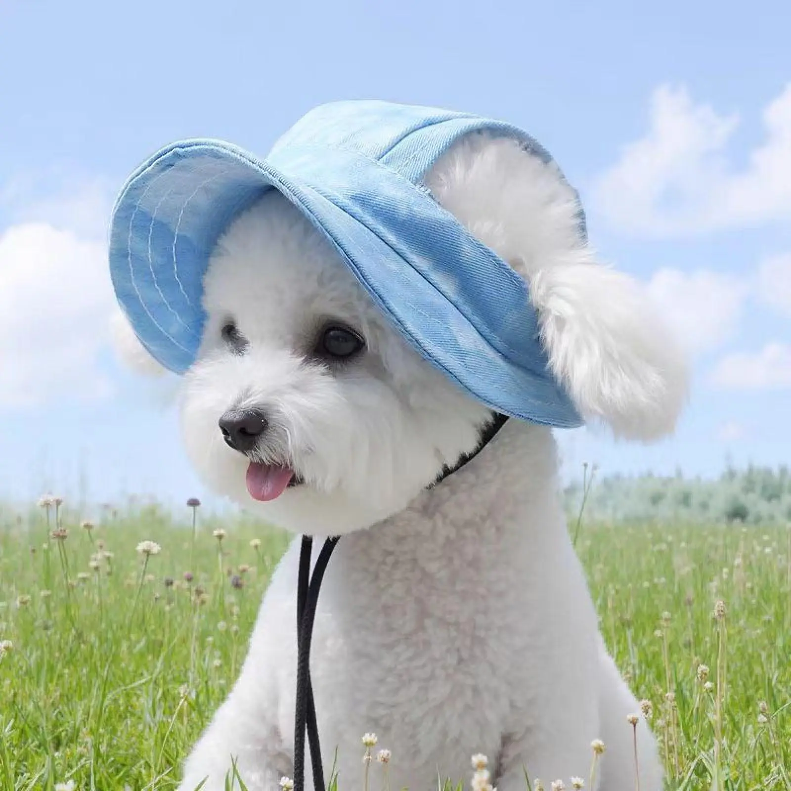 Dog and Cat Sun Hat with Ear Holes | Summer Pet Sun Protection Cute Hat, Adjustable Outdoor Travel Sun Protection Sport Hat for Cats and Dogs(Blue S/M/L)
