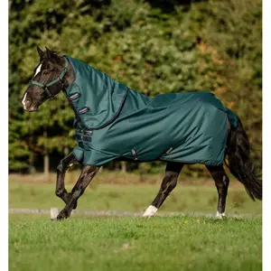 Horseware Amigo® Ripstop 900D Plus Turnout 200g- Dynasty Green/Navy/Silver