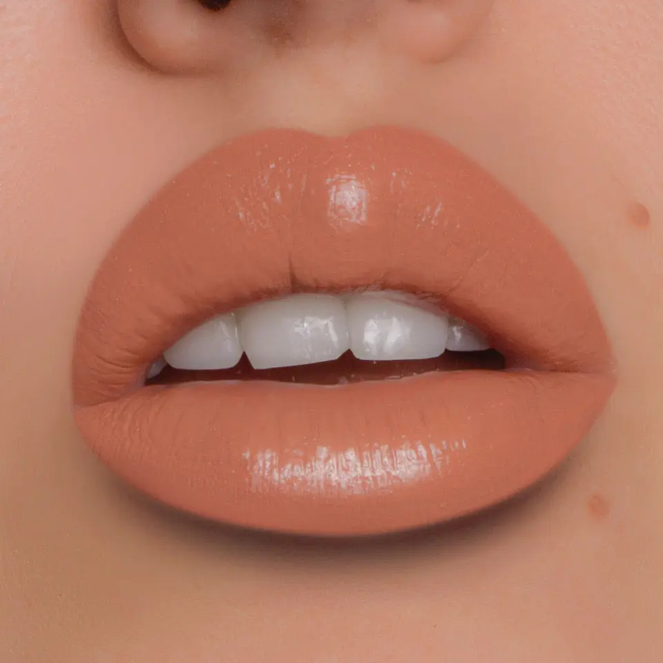 Sending Nudes Lip Kit