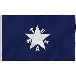 Lorenzo de Zavala Flag