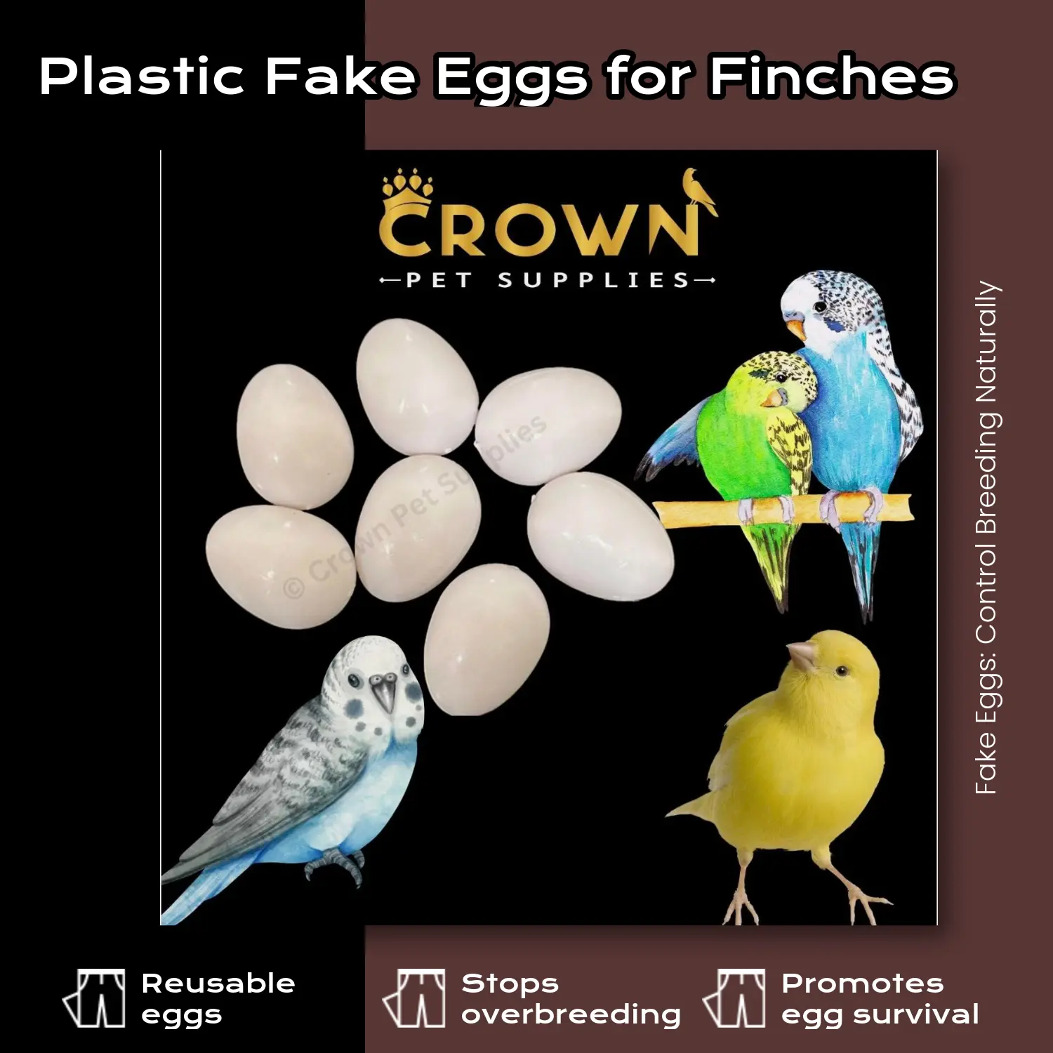 Canaries FAKE EGGS Solid Plastic FOR Parakeet, Dummy STOP LAYING & BREEDING Ct 7