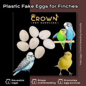 Canaries FAKE EGGS Solid Plastic FOR Parakeet, Dummy STOP LAYING & BREEDING Ct 7