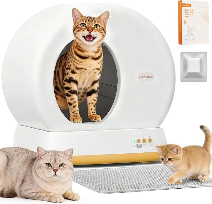 Cat Nail File Enrichment Box - TikTok Shop