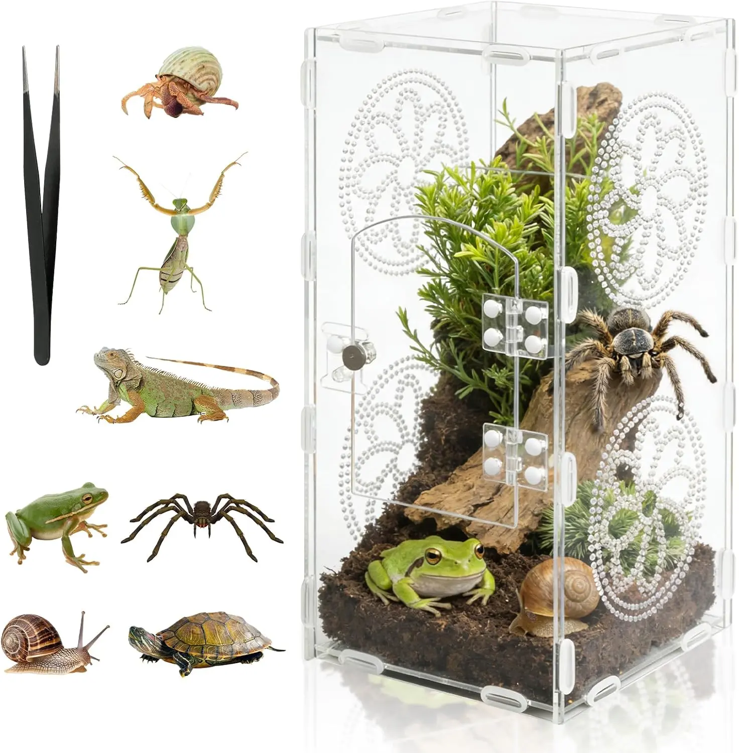 Acrylic Terrarium with Front Door - [X]in×[Y]in×[Z]in Habitat for Spiders, Praying Mantises, Small Reptiles