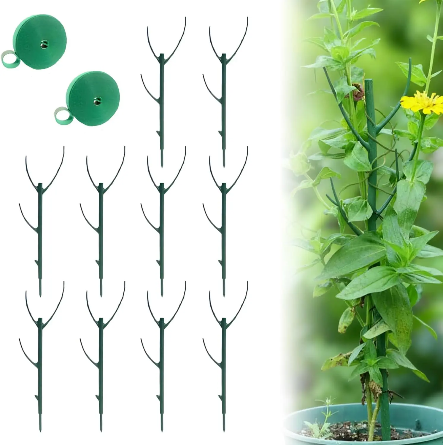 5/10 Pack Stackable Monstera Plant Support, 11 Inch Plant Support Stakes for Indoor & Outdoor Use, Plants Sticks for Vine Training & Stem Stabilization, Monstera, Pothos, Philodendron