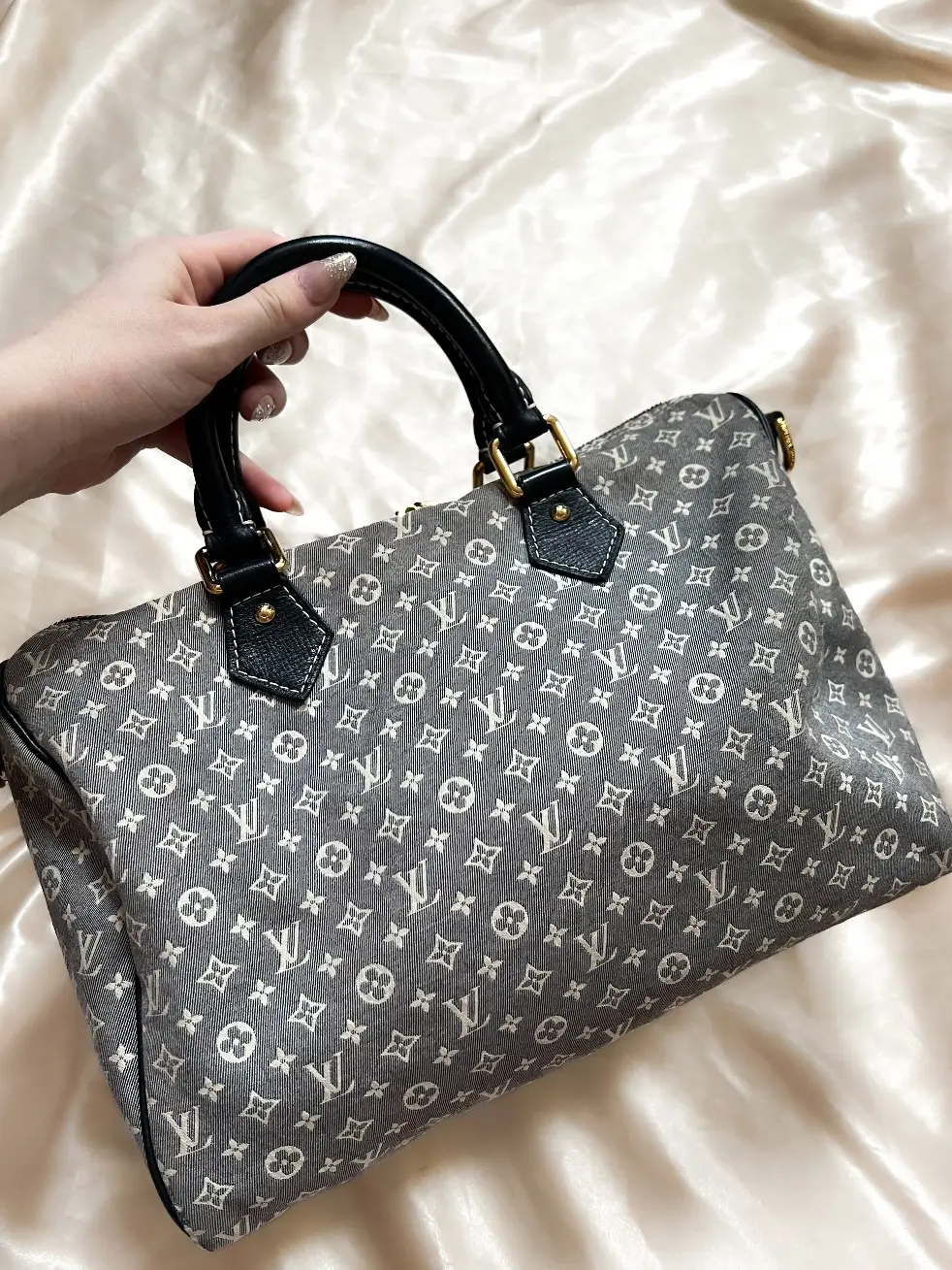 Pre-owned Louis Vuitton Canvas Crossbody Bags Mini Lin Speedy 30B