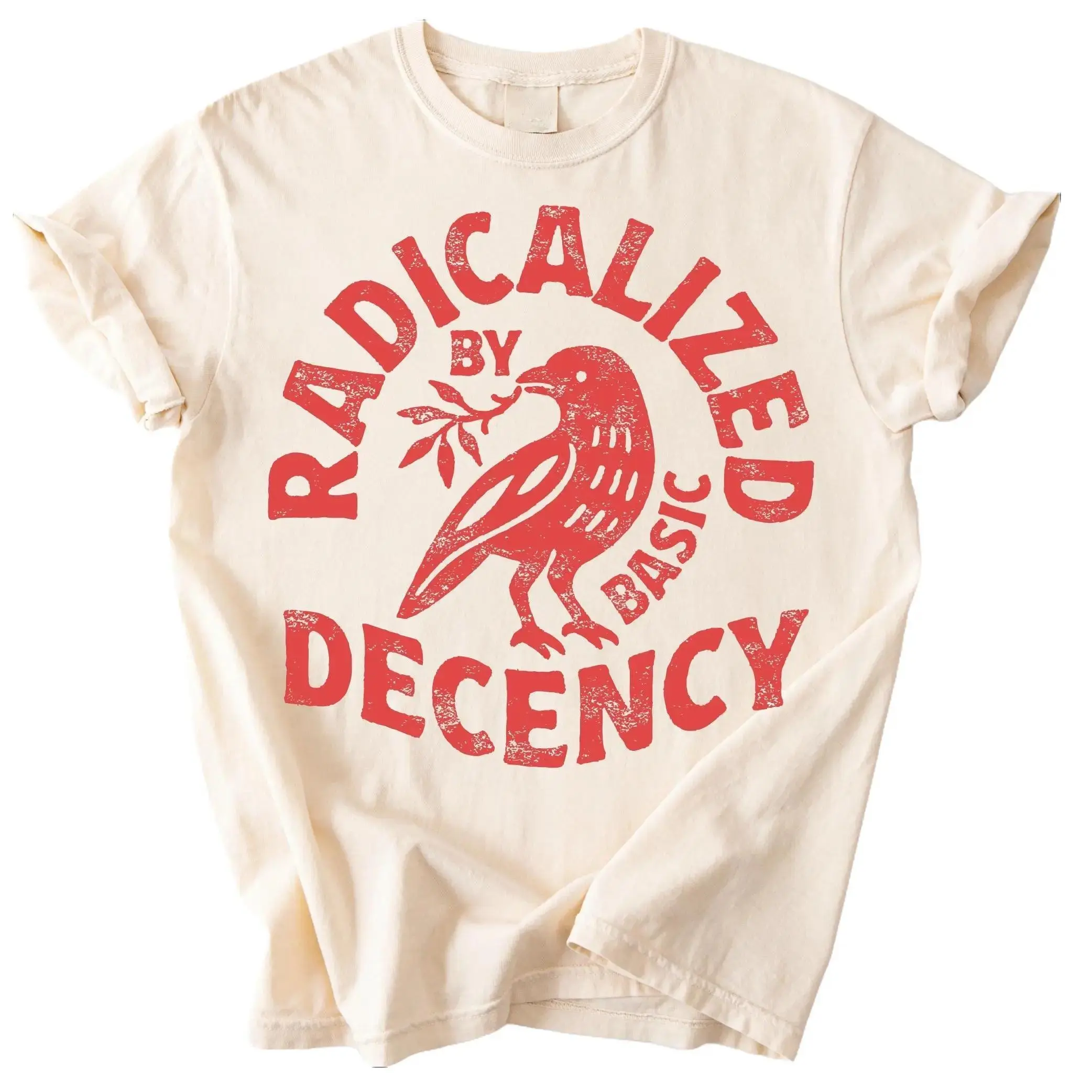 Radicalized By Basic Decency T-shirt, Social Justice Shirt, Feminist Activist Tee, Protest Shirt, Women Men Cotton Tops