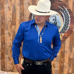 Men's Blue Long-Sleeve Western Shirt, Casual Wear Clothes