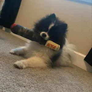 Durable Chew Toy for Dogs & Cats, Interactive Squeaky Plush Cigar Design, Ideal Teeth Cleaning Pet Accessory, Endless Fun for Pets