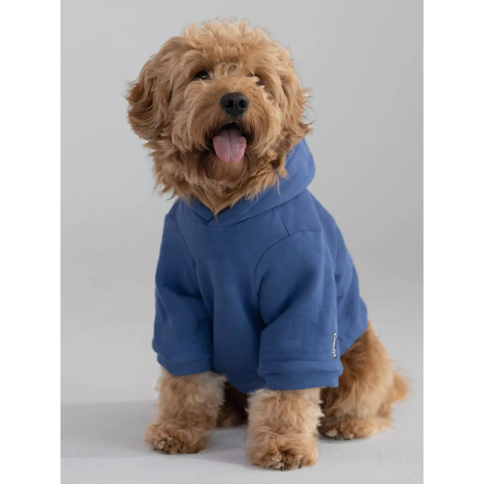 Comfrt Paws | Standard Paw Hoodie | Outdoor Clothing Outfit Puppy Sweater Comfrt Paws | Standard Paw Hoodie | Outdoor Clothing Outfit Puppy Sweater