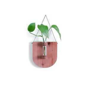 Cedar Scoop Propagation Station