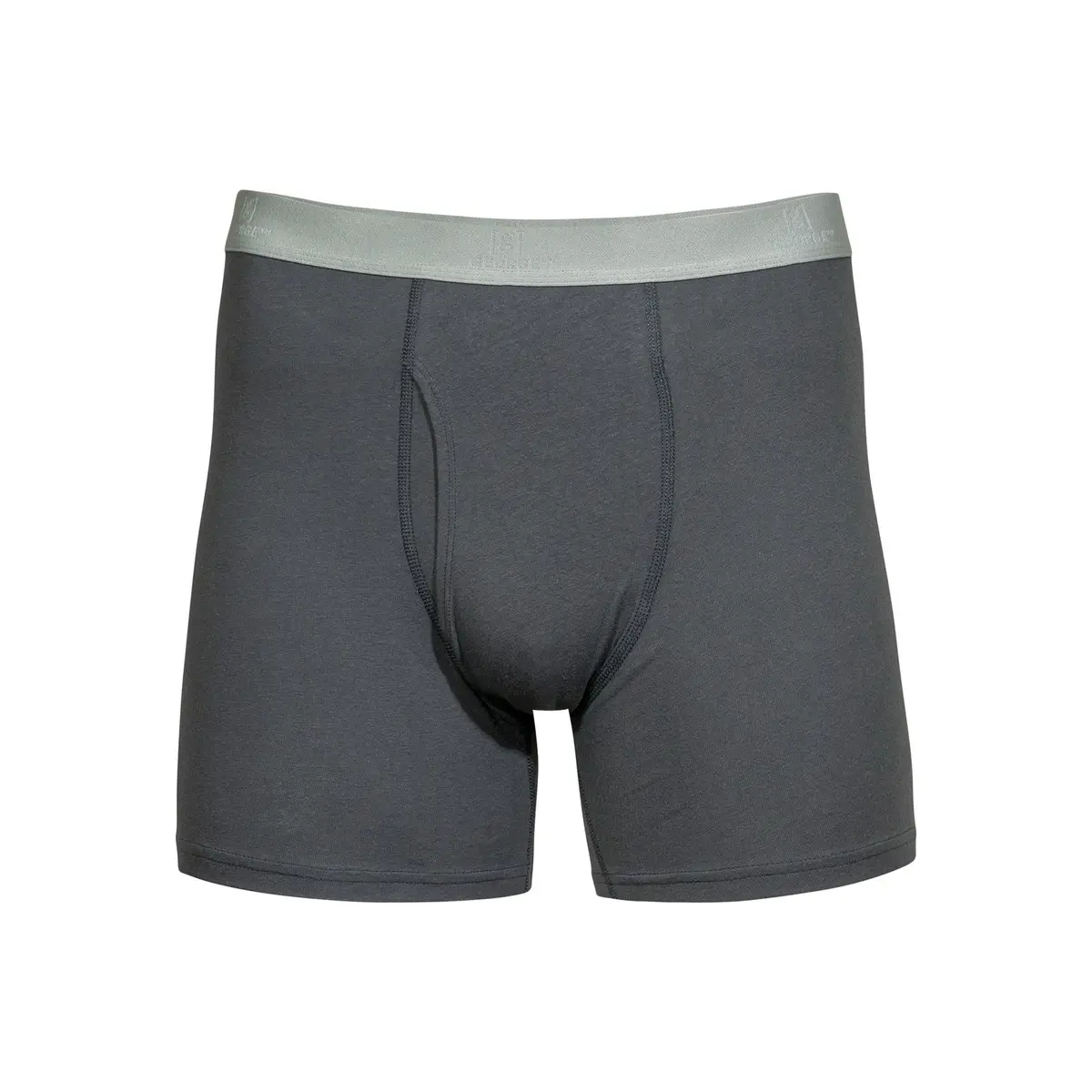 Premium Boxer Briefs Cotton Boxers/Trunks Plain