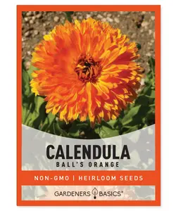 Calendula Ball's Orange Flower Seeds for Planting - Low-Maintenance & Easy-to-Grow Option, Non-GMO, Deep Orange Color, USDA Hardiness Zones 3-10