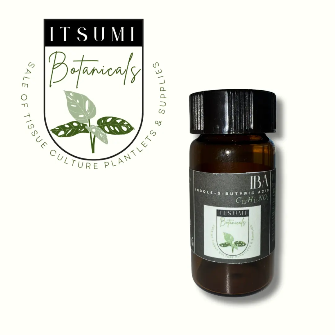 Indole-3-butyric acid (IBA) 98% seed starter